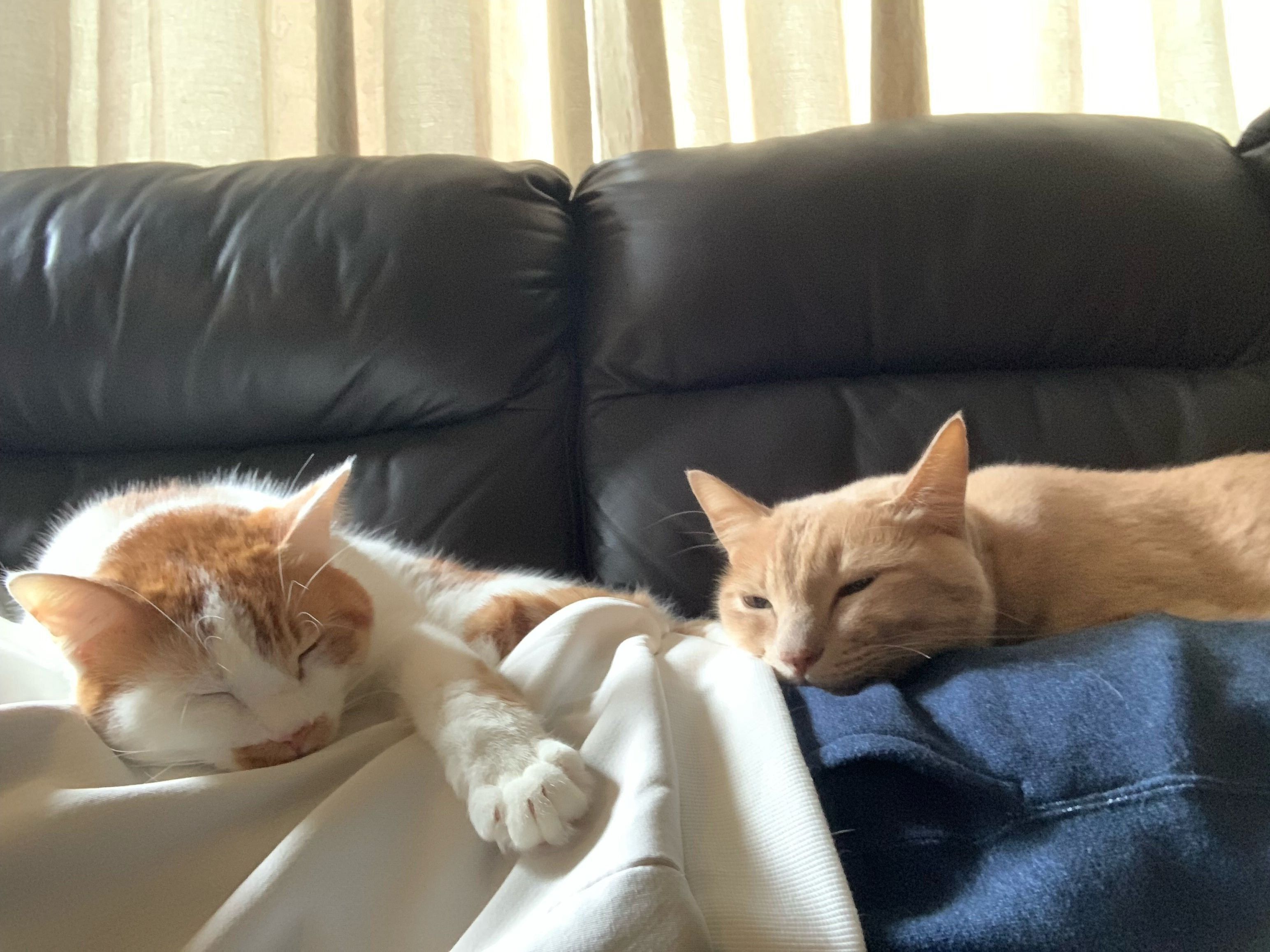 写真提供／読者