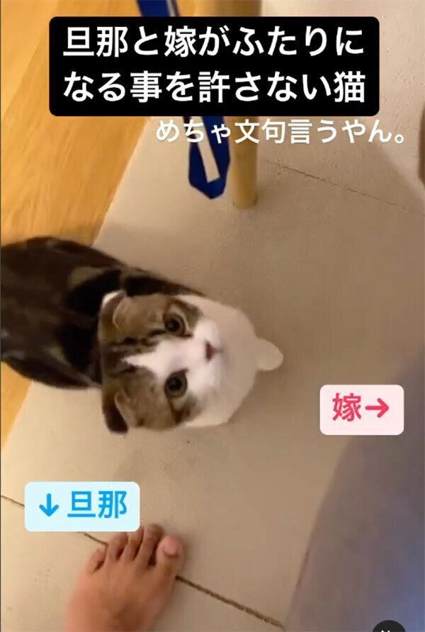 文句を言うこたろうくん