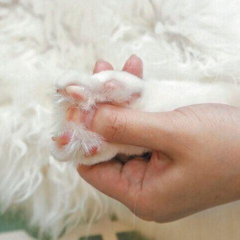 撮影／尾﨑たまき