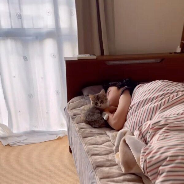 息子くんにぴったりと寄り添うふわくん