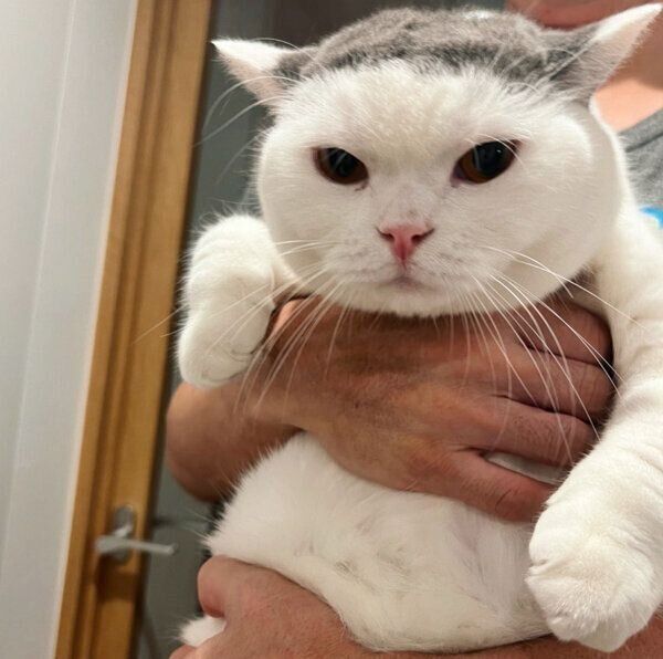 2才になったカツヲくん