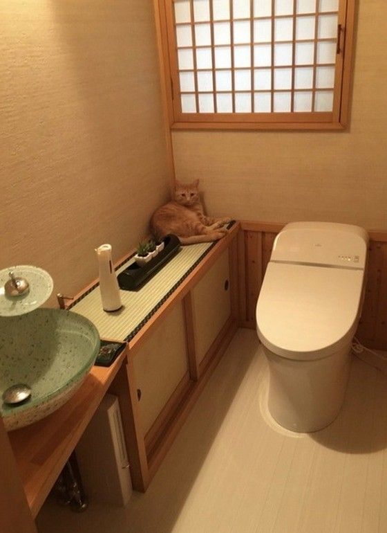 素敵なトイレでくつろぐ元就くん