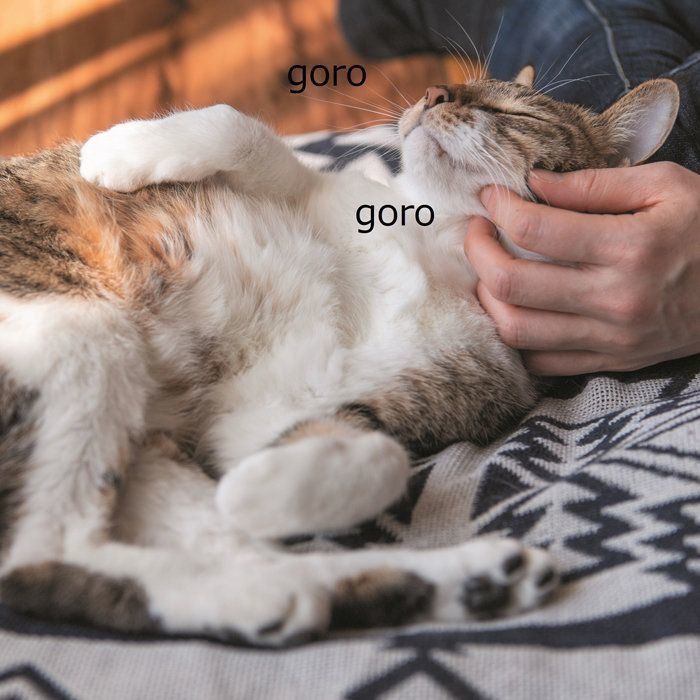 撮影／Akimasa Harada