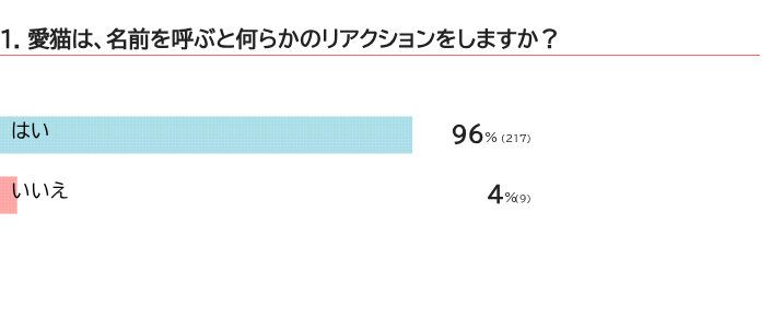 愛猫は名前を呼ぶと反応する？