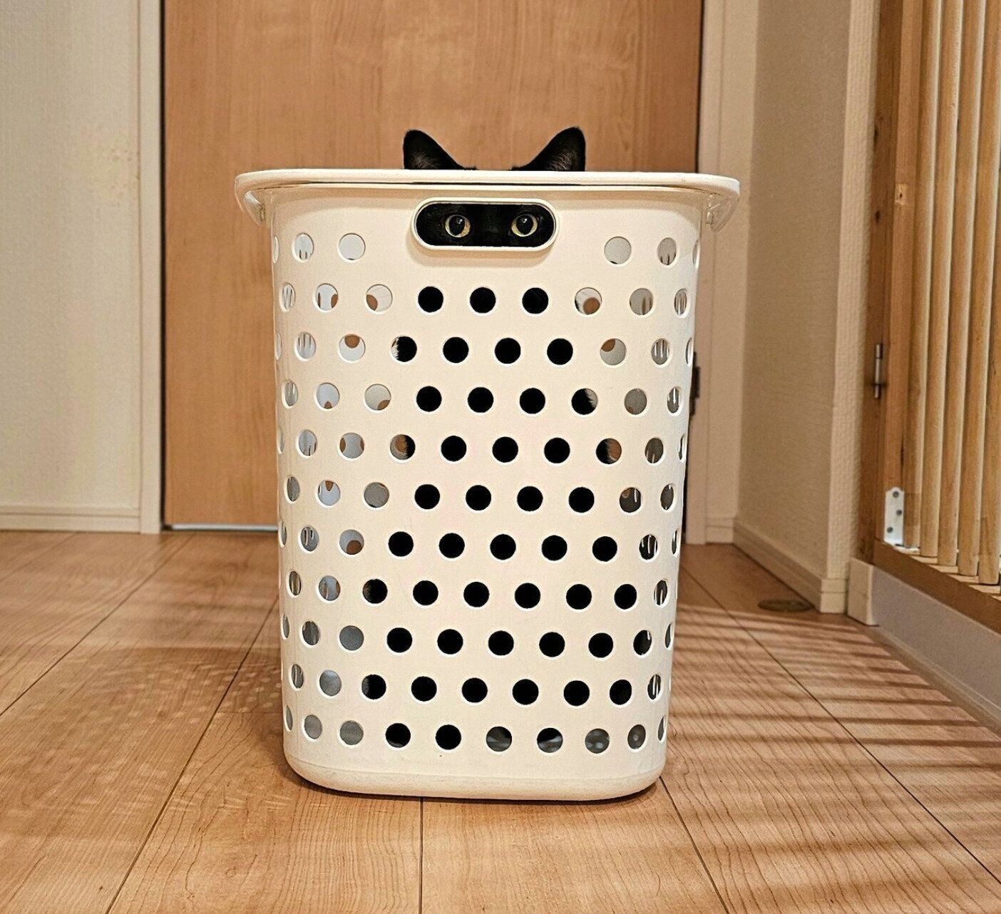 カゴの中に入るタックくん