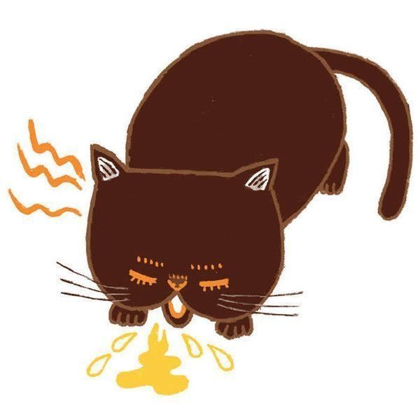 ○○がある・ないのサインでわかる猫の病気