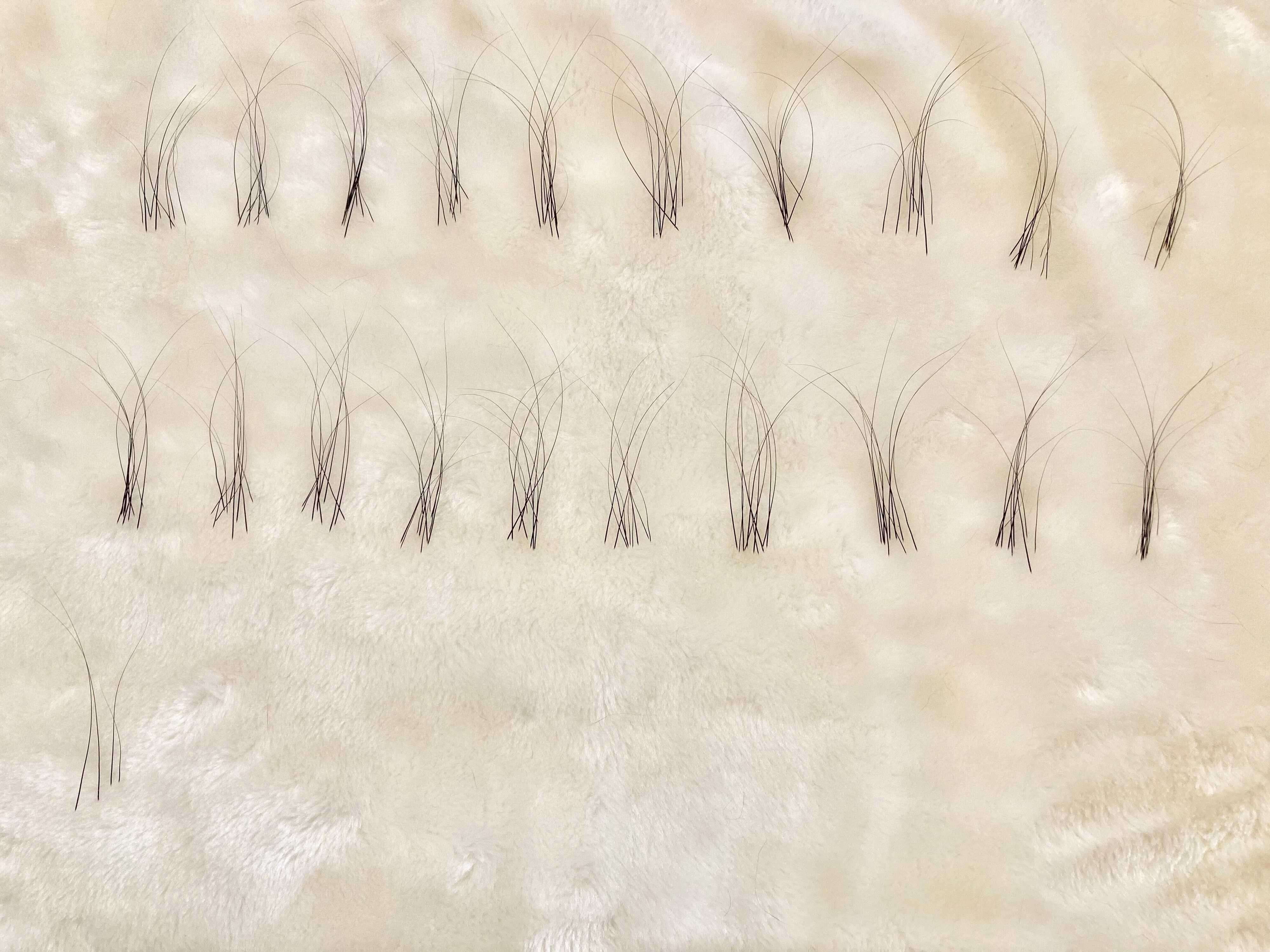 集めたたきびくんのヒゲ