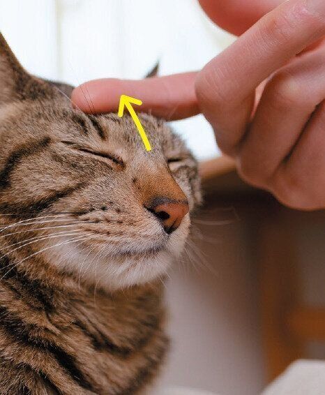 撮影／Akimasa Harada