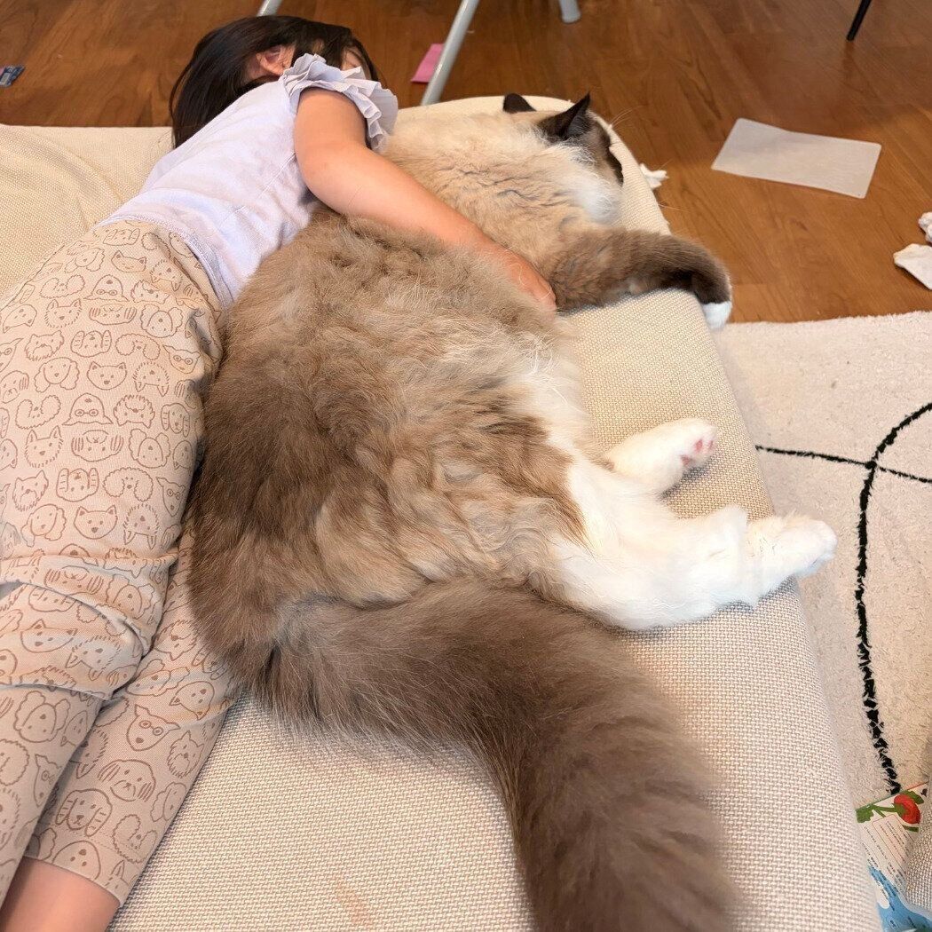 4才の娘さんと比べても大きく成長したゆきくん