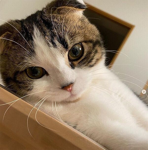 見つめるこたろうくん