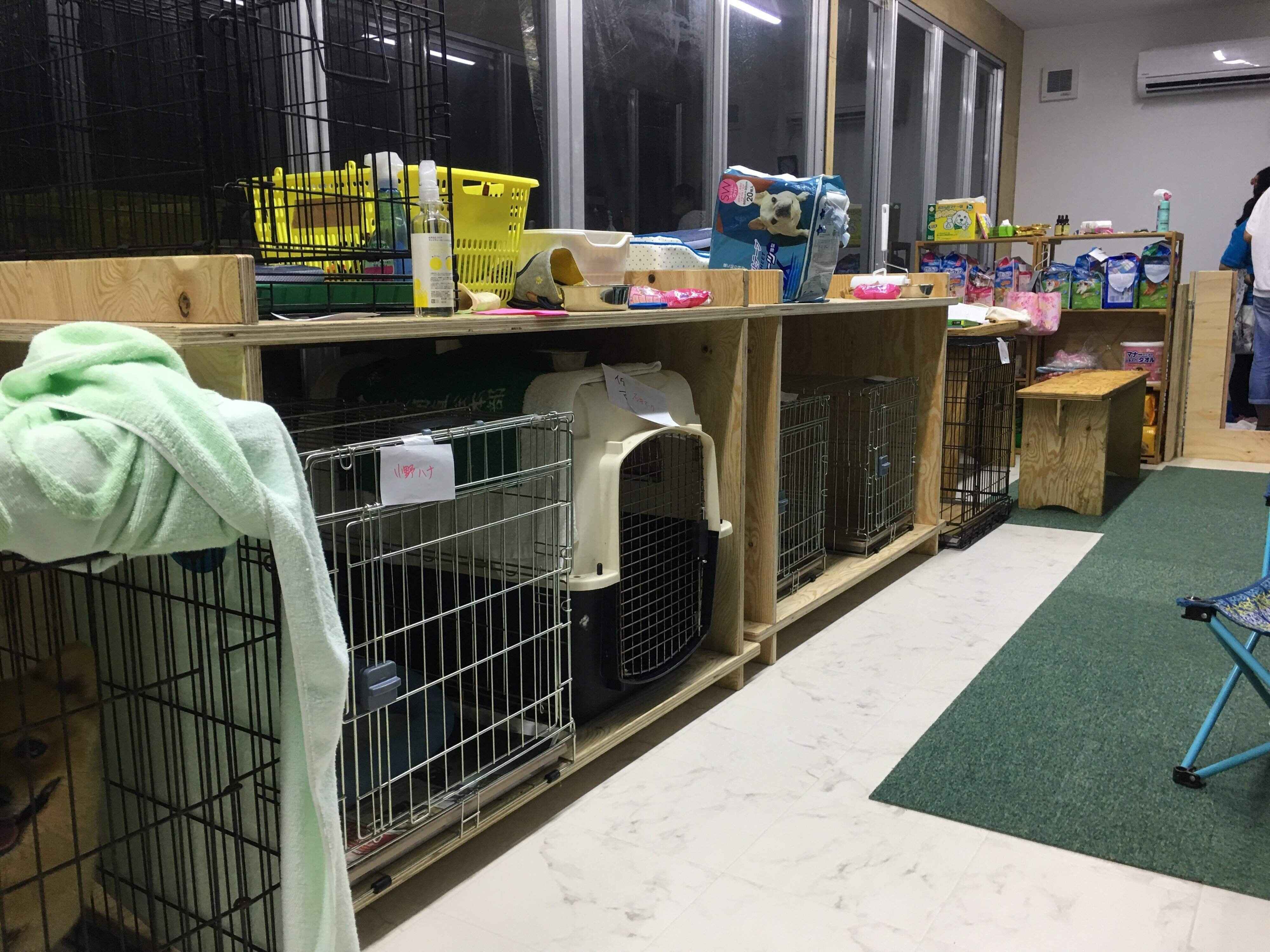 写真提供／一般社団法人Do One Good