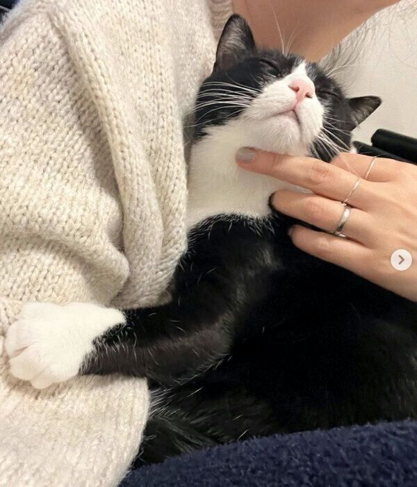 飼い主さんに抱きついて眠るぽんずちゃん