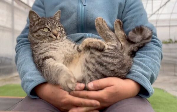 くつろぐコタローくん