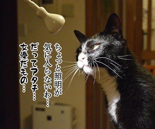 だいずさんの女優魂が……