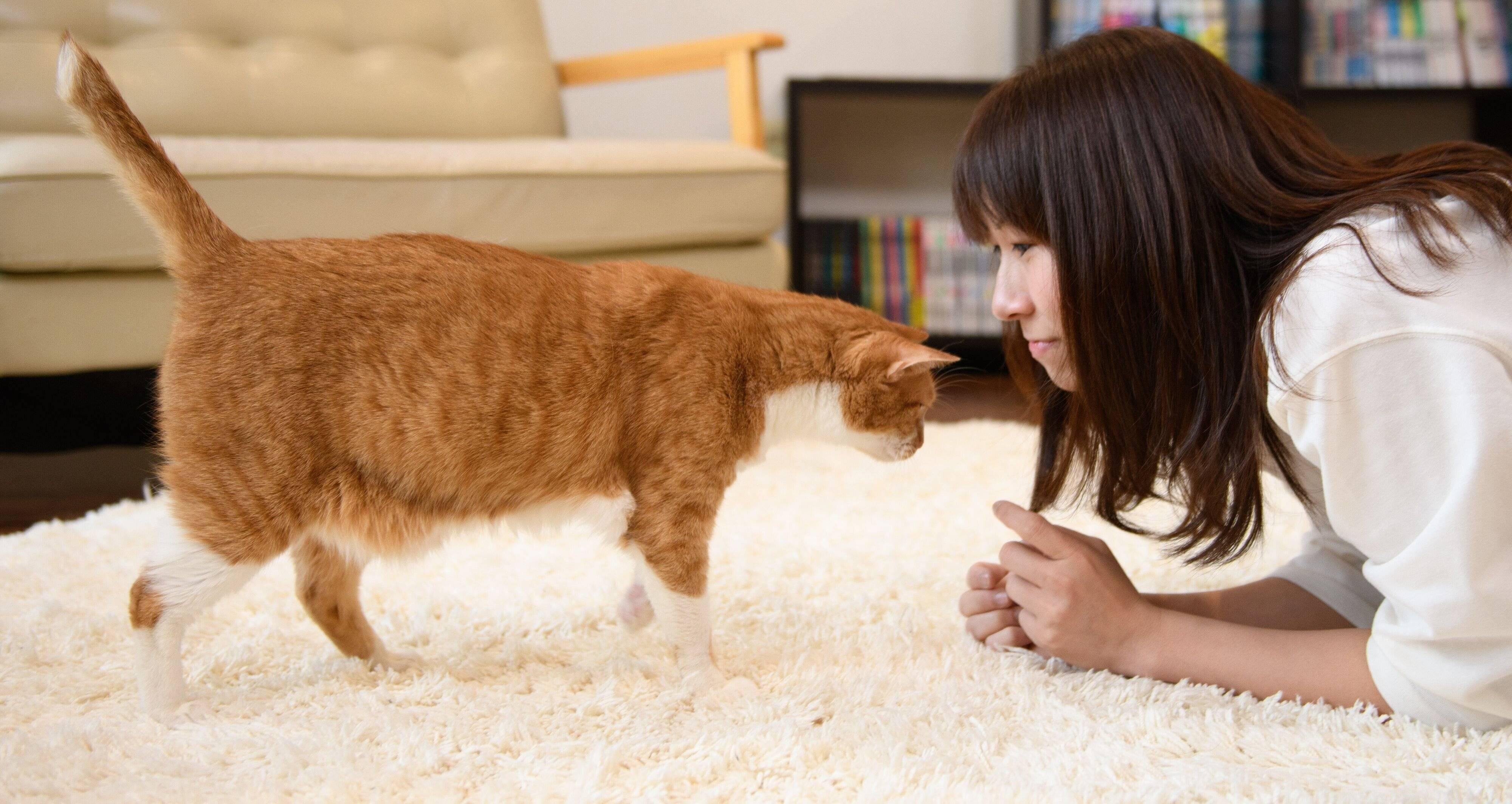 撮影／Akimasa Harada