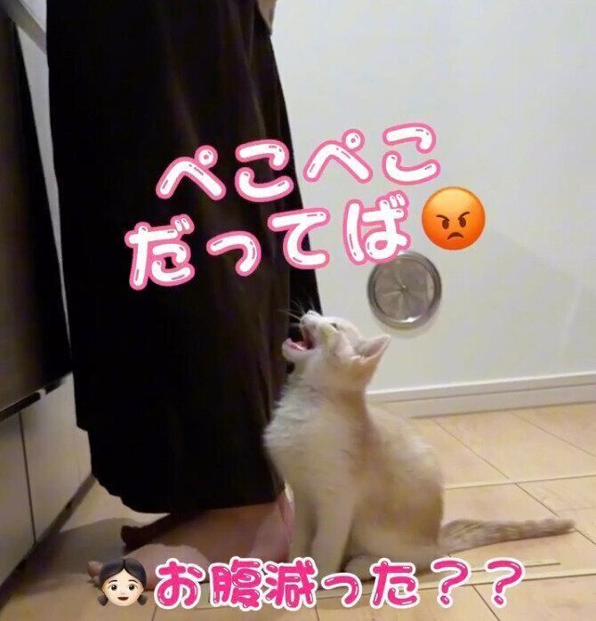 お腹が減って鳴くなるとくん