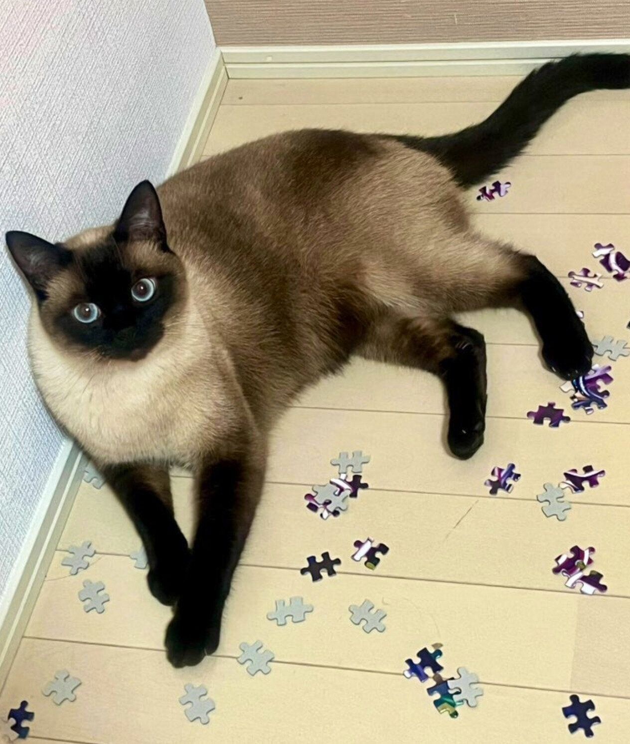 2才になったぷよくん