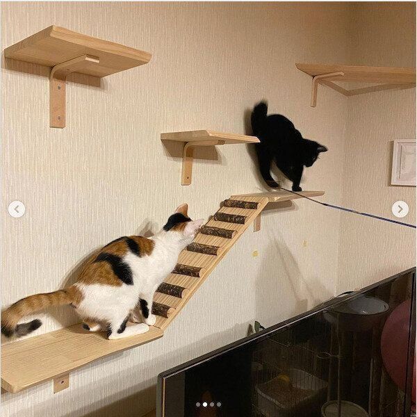 DIYキャットウォーク