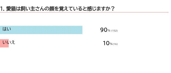 愛猫は飼い主さんの顔を覚えていると感じますか？