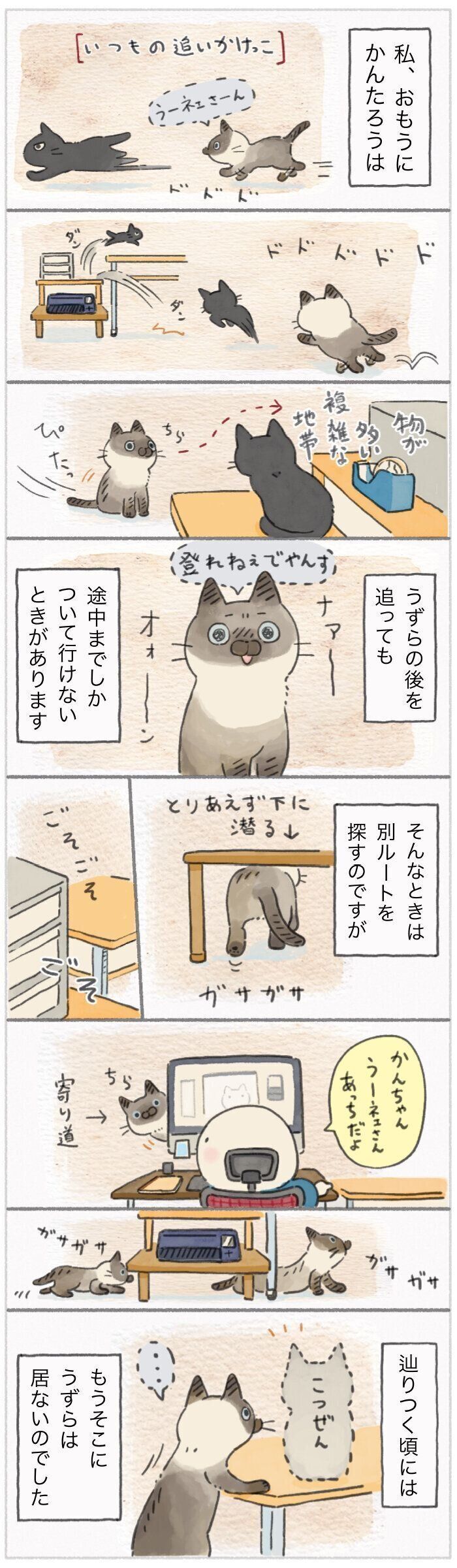 「ねこ連れ草」231話め