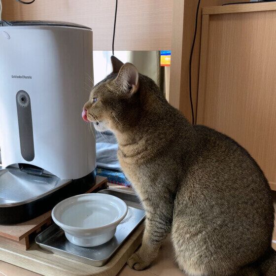 水を飲むAbyくん
