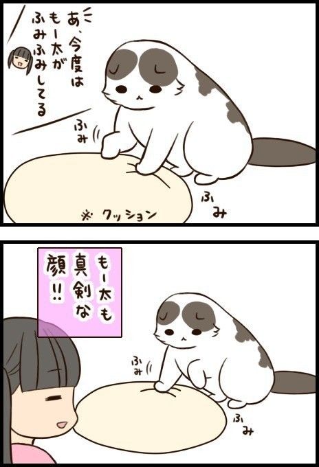 「もふもふスコたん」34話め