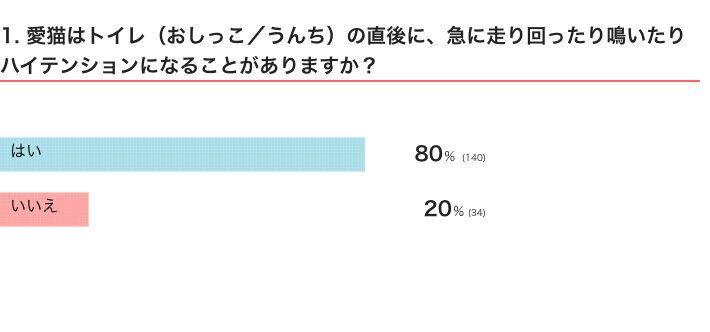 愛猫はトイレ（おしっこ／うんち）の直後に、急に走り回ったり鳴いたりハイテンションになることがありますか？