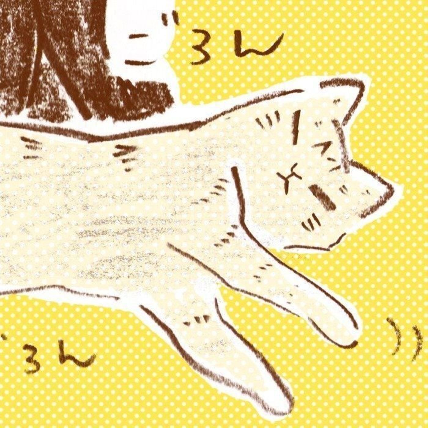近付いてきて 仰向けにごろ んとするとき 猫はこう思っていた しまねこぐぐの猫の本音事典 その10 ねこのきもちweb Magazine 近付いてきて 仰向けにごろ んとするとき 猫はこう思っていた しまねこぐぐの猫の本音事典 その10 ねこのきもちweb Magazine