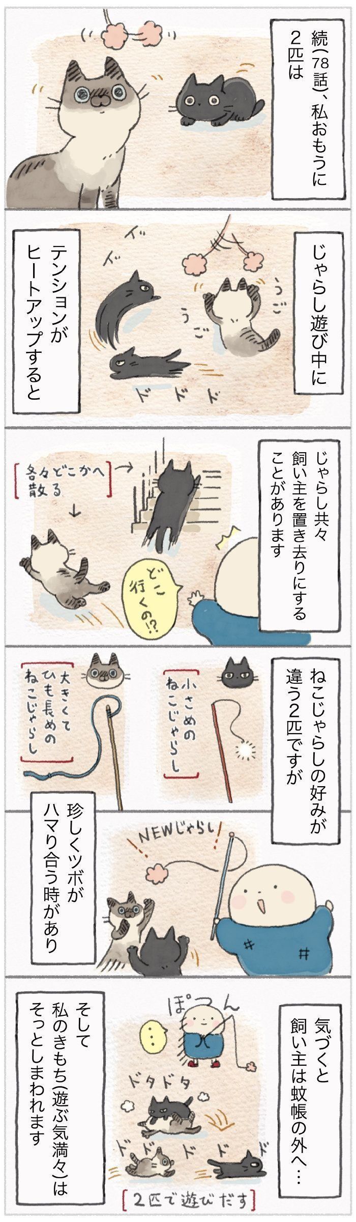 「ねこ連れ草」79話め