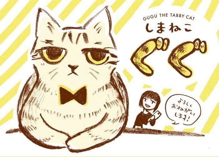 しまねこぐぐ　サムネイル