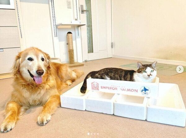 豆ちゃんと小麦ちゃん