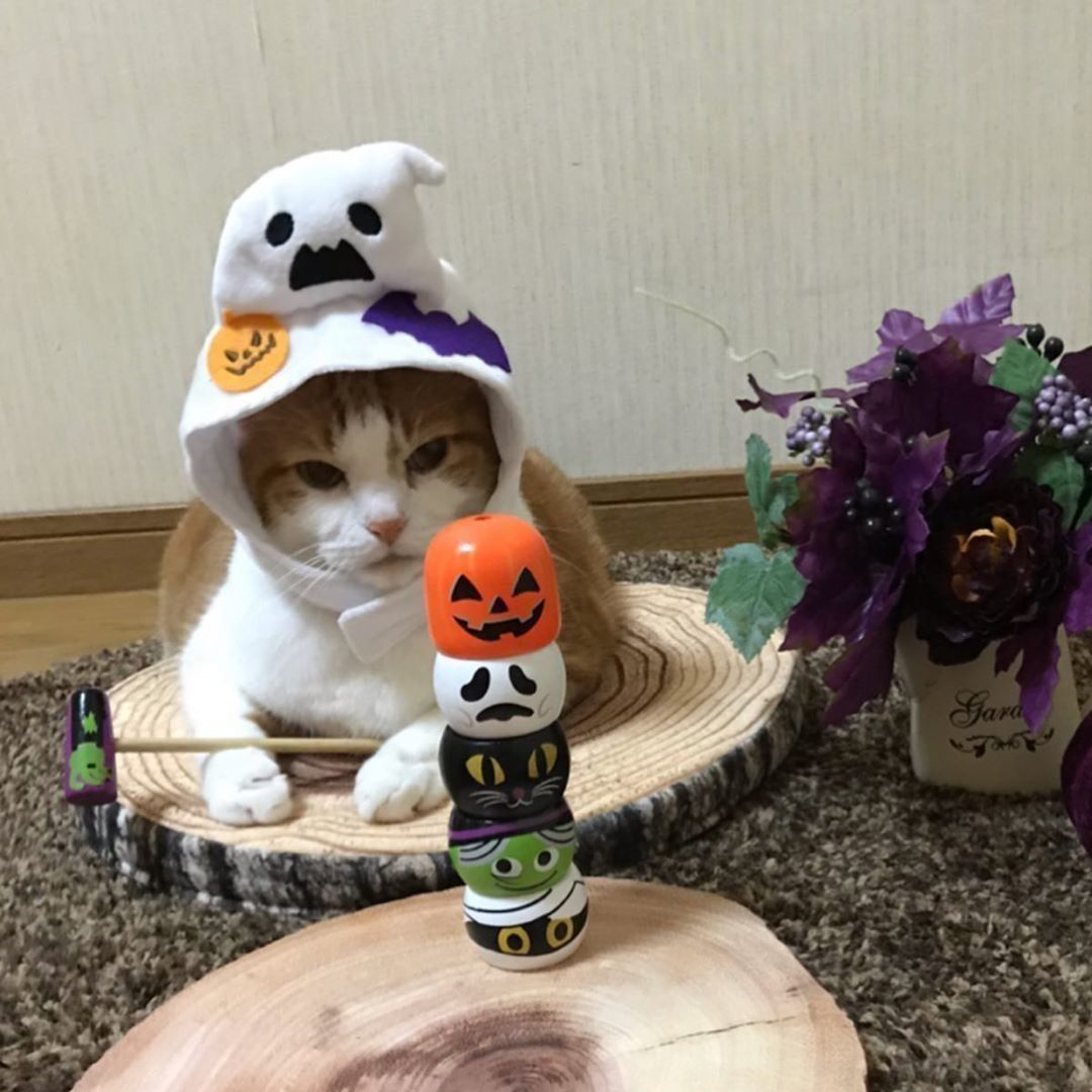 ハロウィンだるま落とし