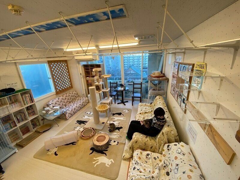 立体的なキャットウォークが印象的な空間です