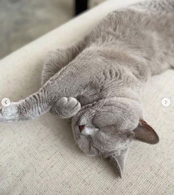 まったりするらむねちゃん