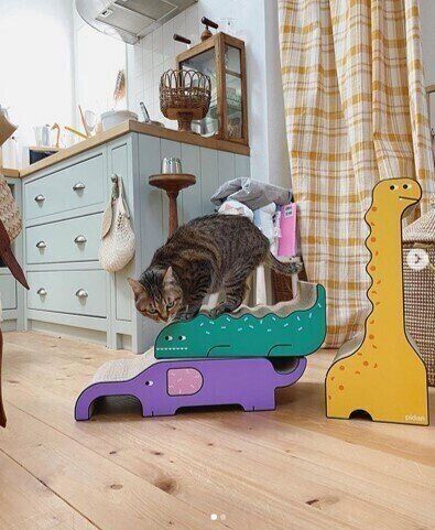 爪とぎの上に乗る猫