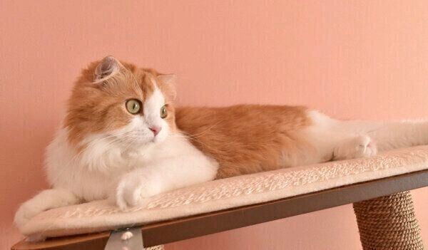 まったりするちのさん