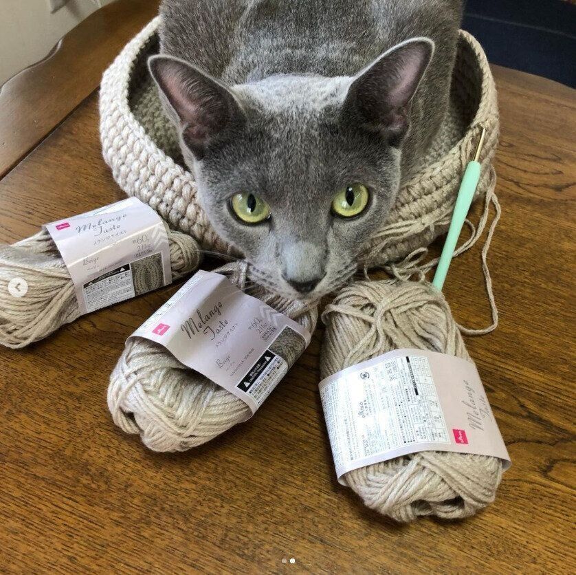 ＠monotone_cat2さんの猫ベッド