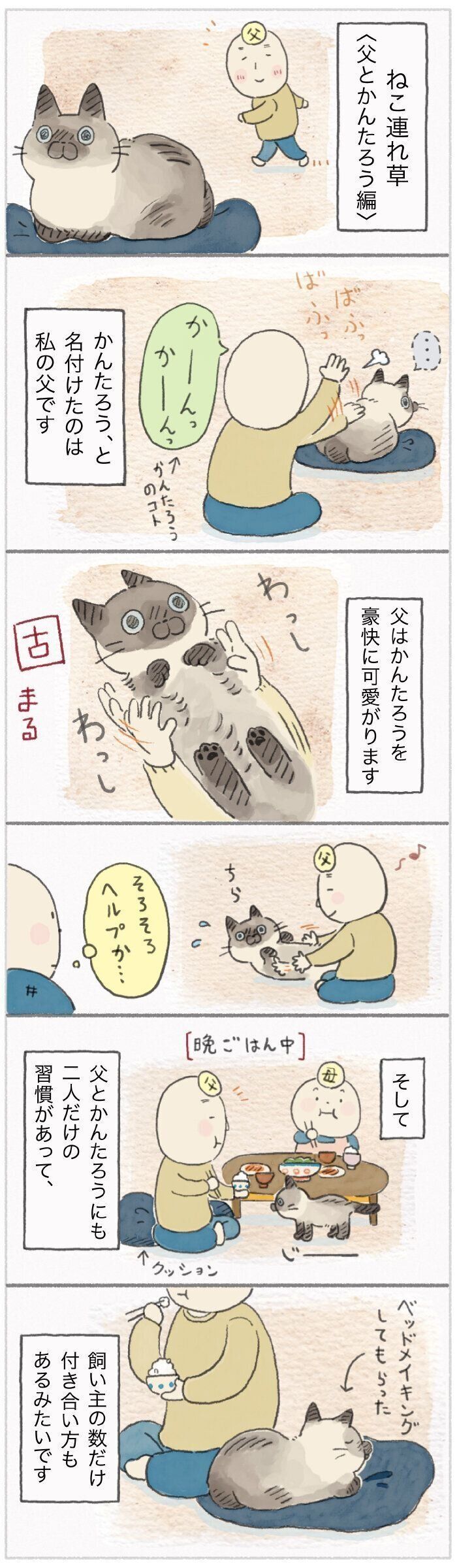 「ねこ連れ草」146話め