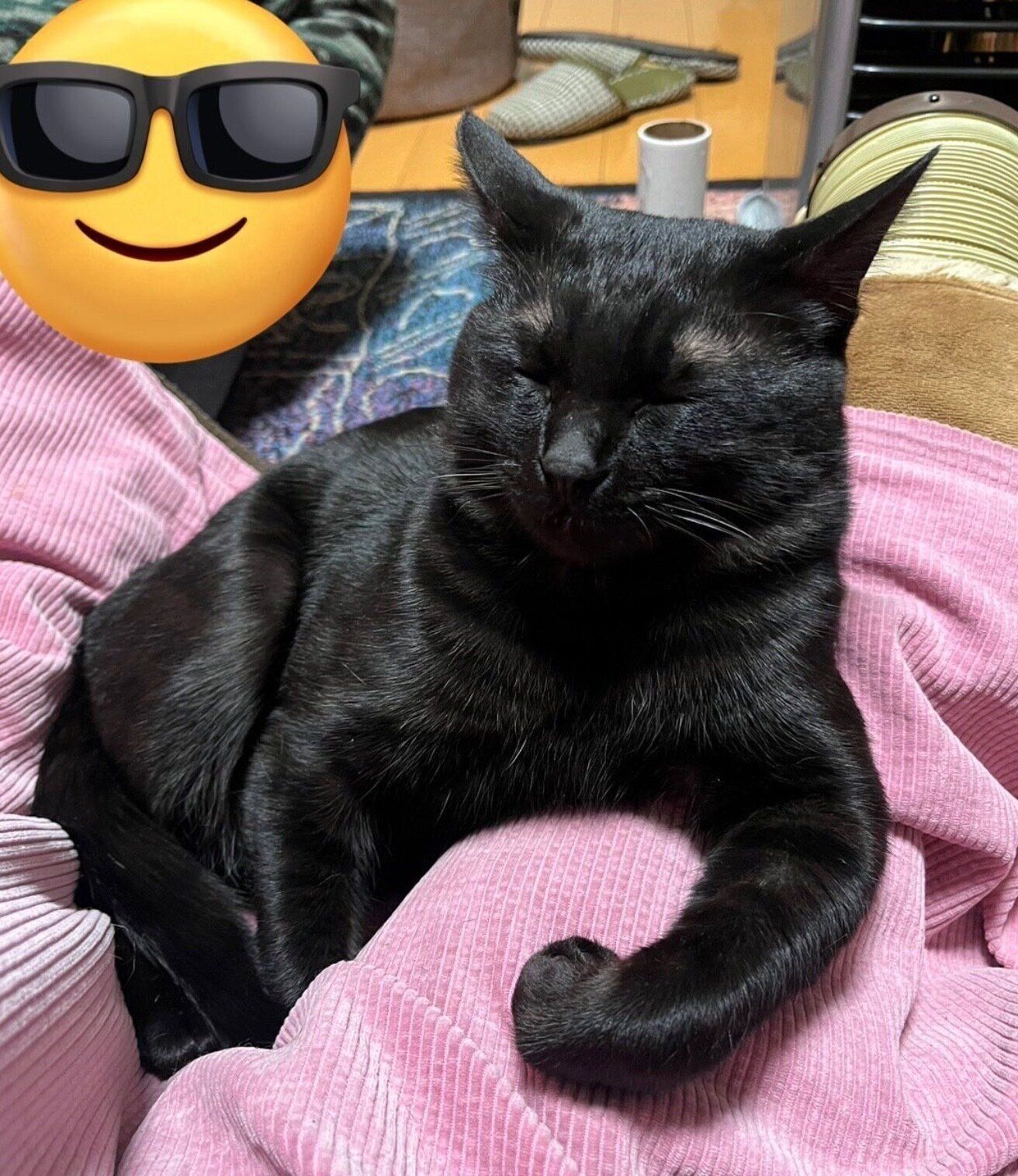 眠るサラミくん