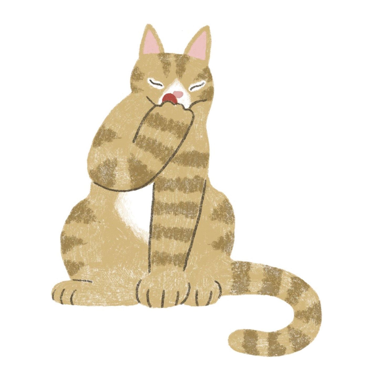 新入り猫のお尻が異様に臭かった その意外な理由とは 獣医師q A ねこのきもちweb Magazine 新入り猫のお尻が異様に臭かった その意外な理由とは 獣医師q A ねこのきもちweb Magazine