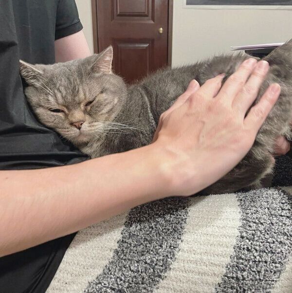 パパさんの膝の上で眠るぷーちゃん