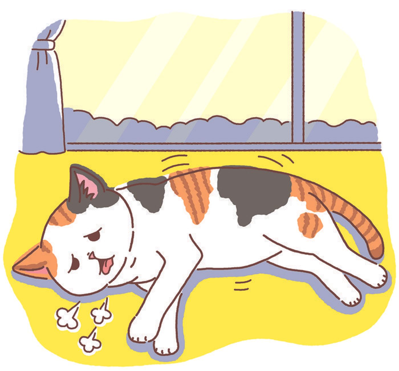 獣医師監修 猫の事故 ケガの防止法 もしものときの対処法も解説 ねこのきもちweb Magazine 獣医師監修 猫の事故 ケガの防止法 もしものときの対処法も解説 ねこのきもちweb Magazine