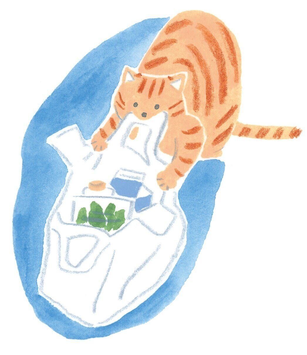 イラスト／カトウナミエ