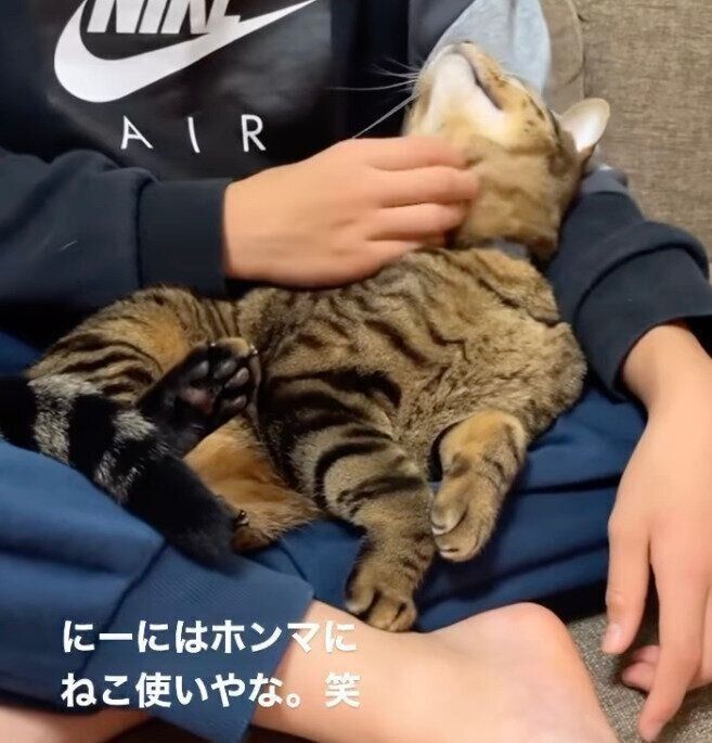 長男になでてもらうソルくん