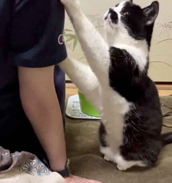 どうしても抱っこしてほしいドツちゃん