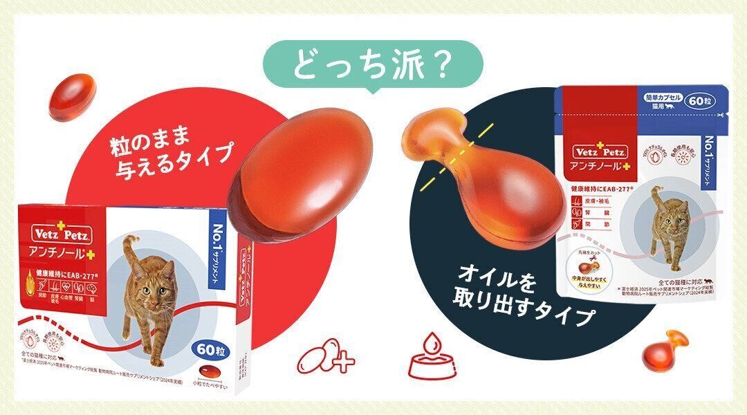 どっち派？