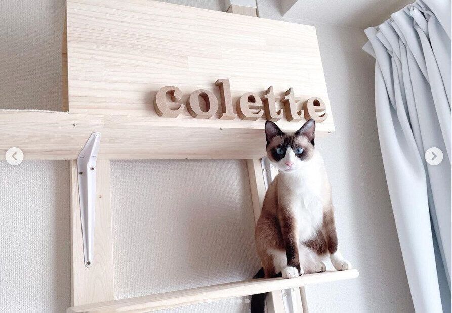 壁に穴を開けない猫タワー2