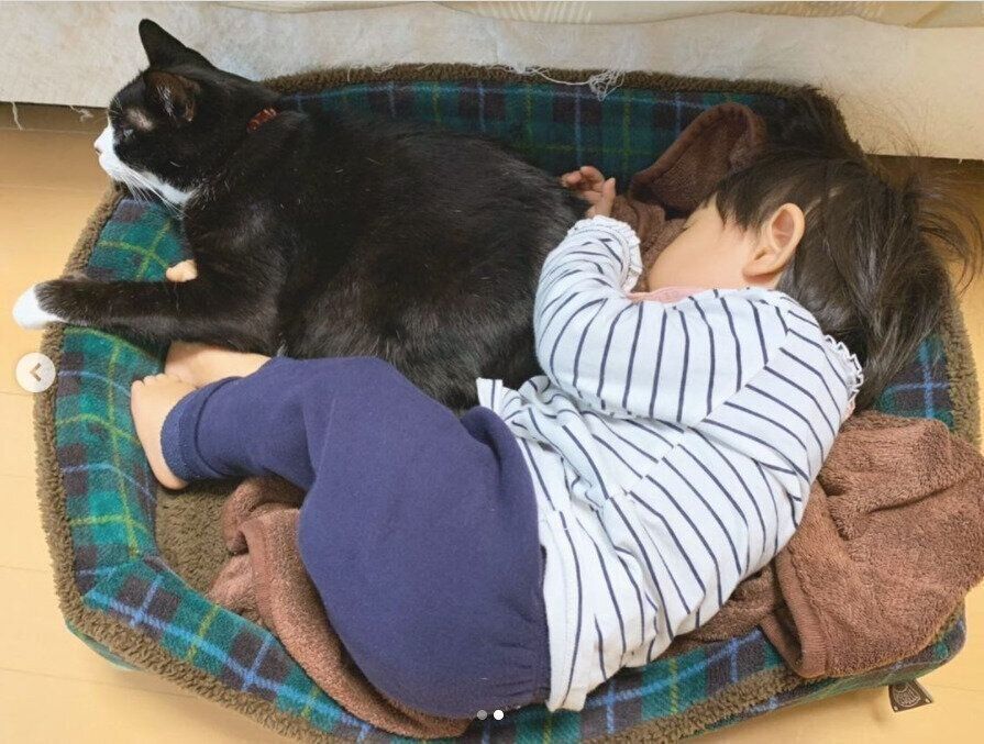 クロリーニョのベッドに一緒に入るお豆ちゃん２