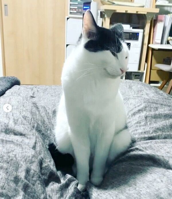 1才になったカインくん