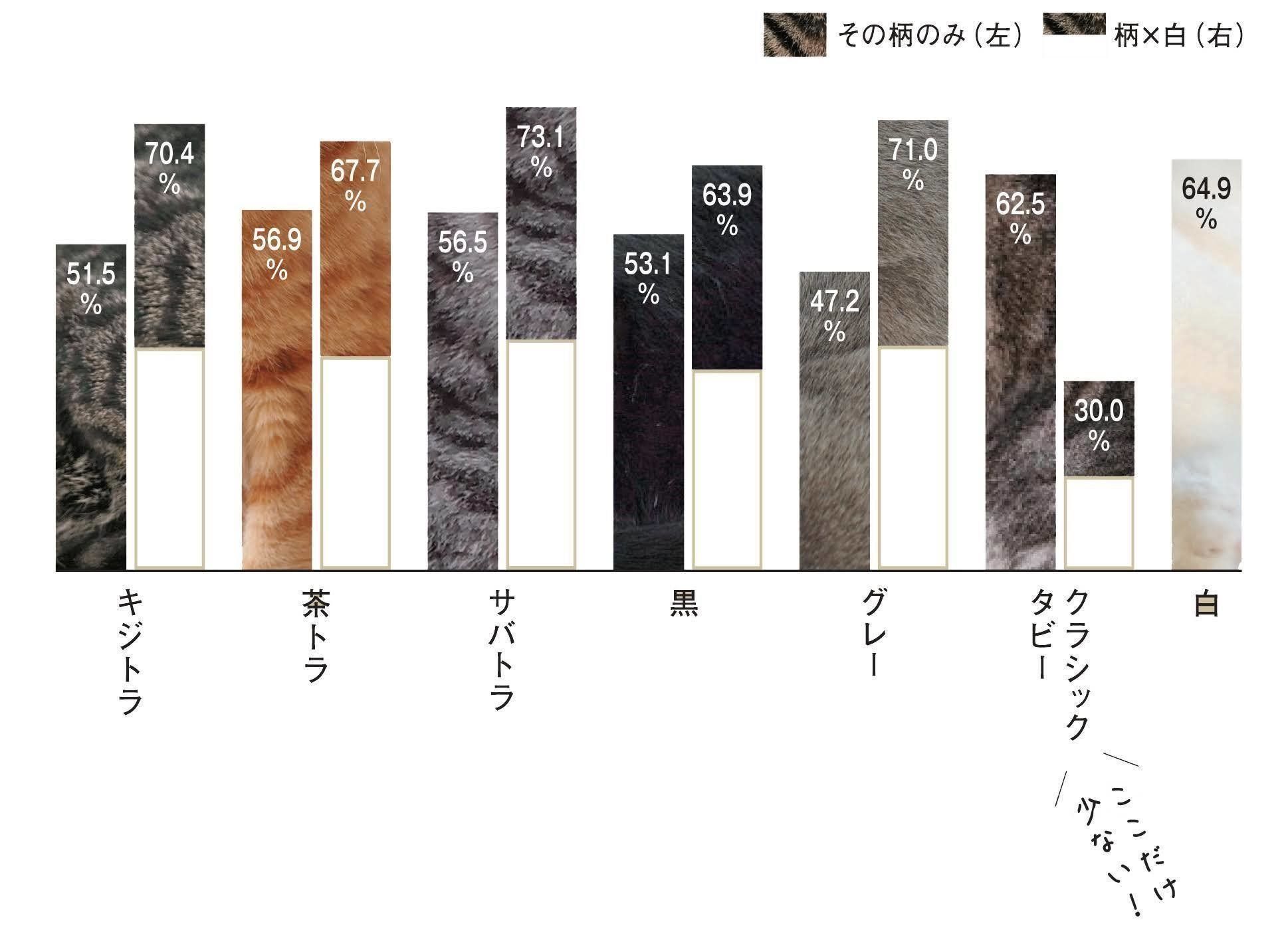 毛柄×性格 相関データFile
